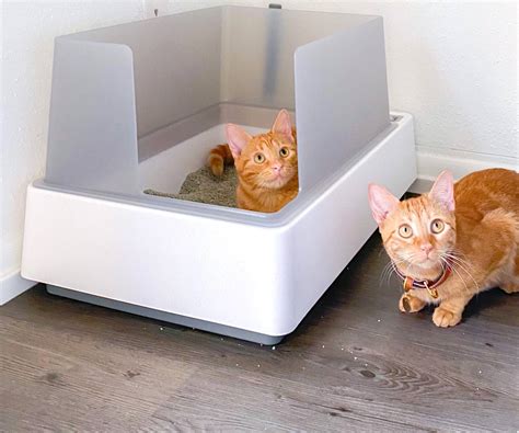 best cat litter box for apartment|Iba pa.